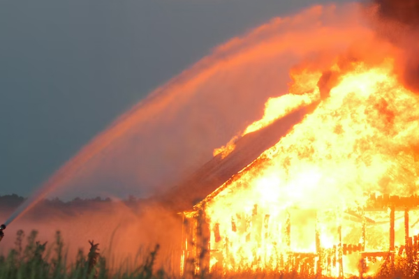 ����һ����������ʦ������ѵ��������