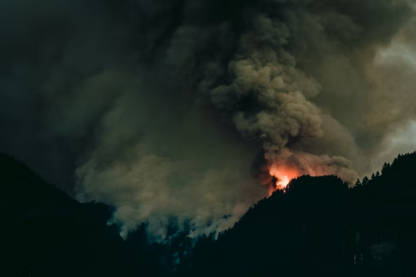 �㽭һ����������ʦ������ѵ��������