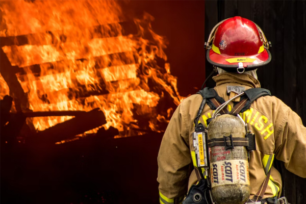 ����һ����������ʦ������ѵ��������