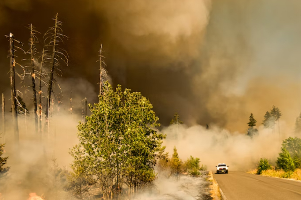 ����һ����������ʦ������ѵ��������