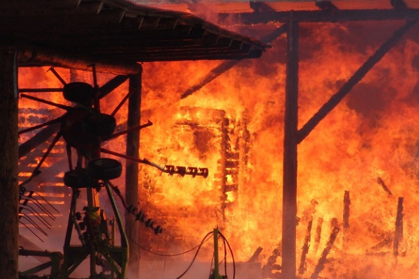 ��ɽһ����������ʦ������ѵ��������