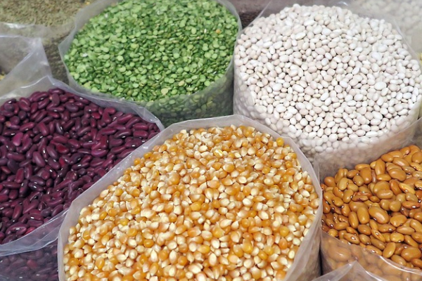 ���ݽ�������ʦ������ѵ��������Щ���ĸ��ȽϺã�