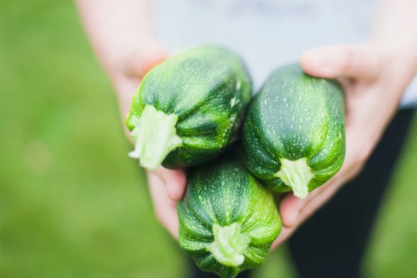 湘潭健康管理师考试培训机构有哪些?哪个比较好?