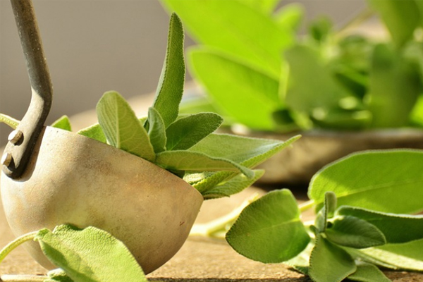 ��Ҵ��������ʦ������ѵ��������Щ���ĸ��ȽϺã�