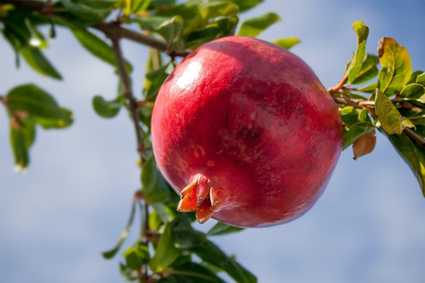 西宁健康管理师考试培训机构有哪些?哪个比较好?