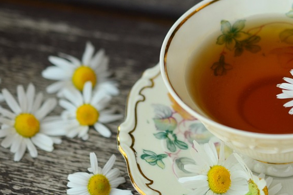 ������������ʦ������ѵ��������Щ���ĸ��ȽϺã�