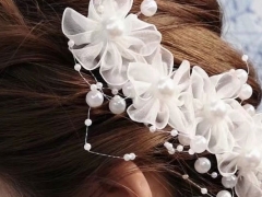 ����ѧ��ױȥ���/