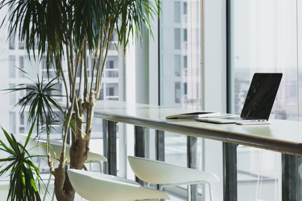 江西社工证培训机构哪家好_费用