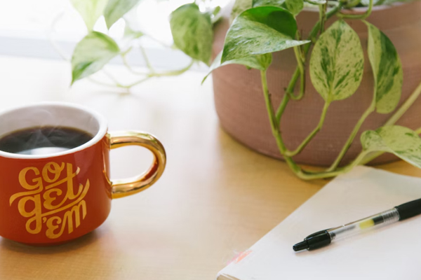 �����繤֤��ѵ�����ļҺ�_����