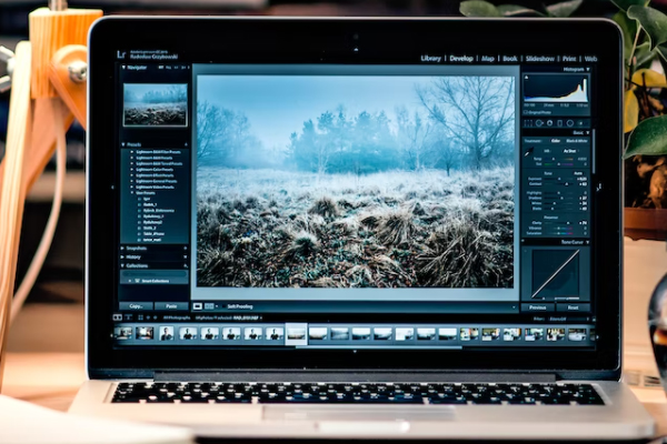 �ൺ����Ƶ���������ѵ��