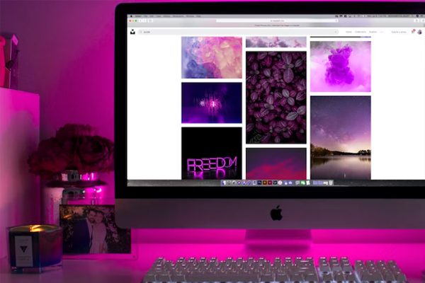 ���϶���Ƶ���������ѵ��