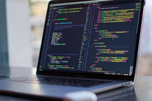 ��������Ƶ���������ѵ��