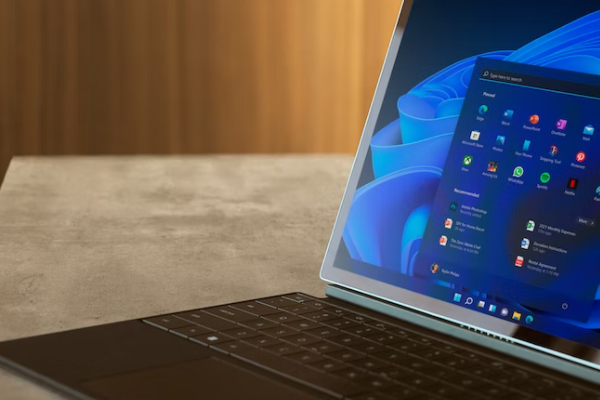 ��������Ƶ���������ѵ��