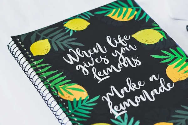 ��������������ļҺ�