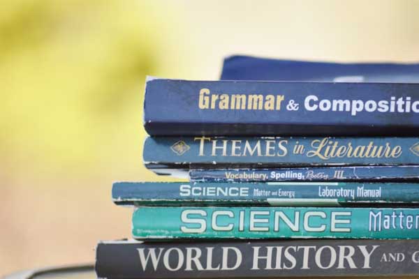 ����������Ӣ���շѱ�׼