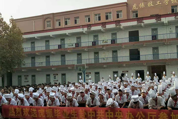 保定虎振学校三年学费多少