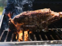 �Ϻ��ɽ�±����ѵ�ļҺ�_����ѧ��/