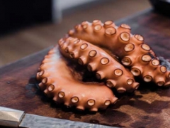 �Ϻ��ֶ�±����ѵ�ļҺ�_����ѧ��/