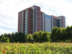 �����Ź��е�רҵѧУ/