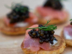 �人С����ѵ-