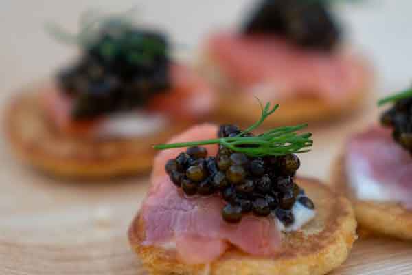 �人С����ѵ- ׬Ǯ����Ŀ�Ƽ�