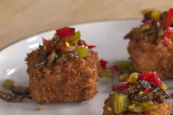 ����¹��С����ѵ- ׬Ǯ����Ŀ�Ƽ�