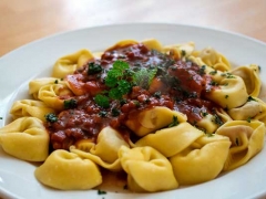 ����С����ѵ-