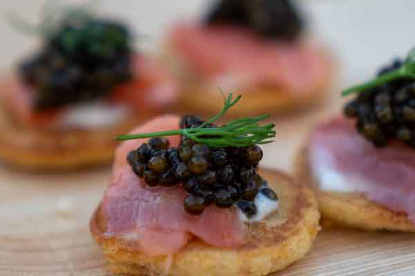 ����С����ѵ- ׬Ǯ����Ŀ�Ƽ�