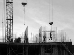 ��֦��������ѵ��������/