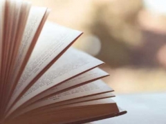 ��ɽ�Ϲ��ʸ�����Ҫʲô����/