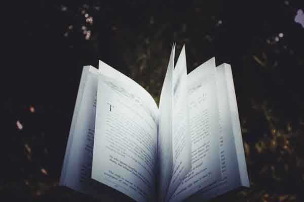 ��ɽ���ʸ���ѧУ����