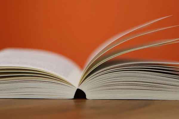 ��ɽ���ʸ���ѧУ����Щ