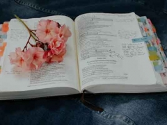 ̫���Ϲ��ʸ�����Ҫʲô����/