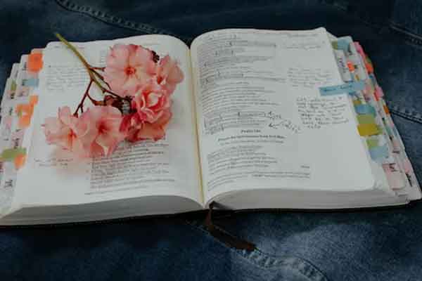 ̫���Ϲ��ʸ�����Ҫʲô����