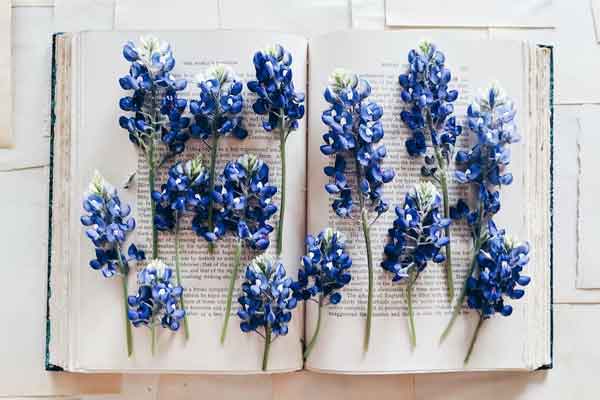 �Ϻ����ʸ�����������