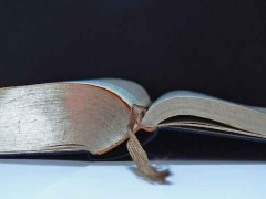 ��ɽ˫�����ѧУѧ��/