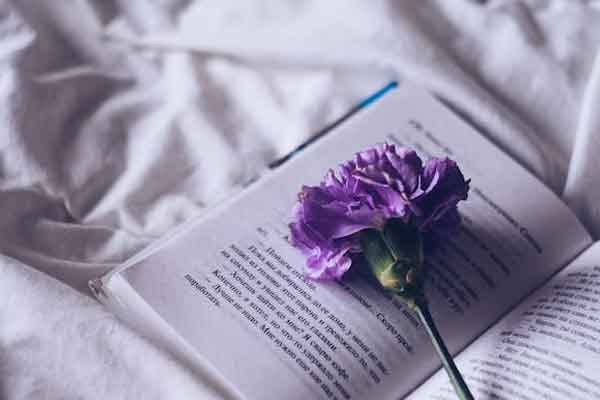 江苏双语初中私立学校招生要求