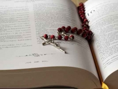 ����˫�����ѧ�Ѷ���/