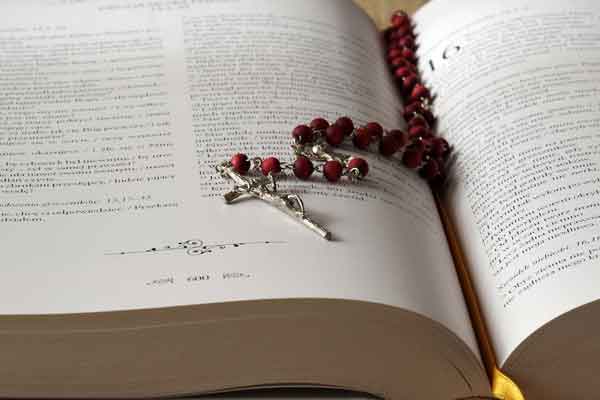 ����˫�����ѧ�Ѷ���