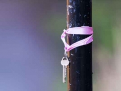 ������ҵ�����ʸ�֤��ô��/