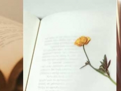 �人��ͨ������ѧ�н��������_�۸�/