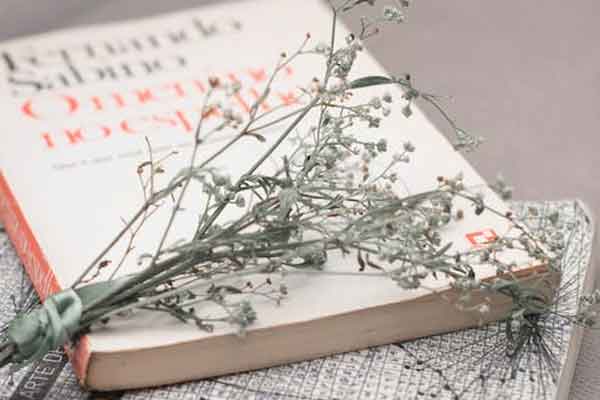 �Ϸ���ͨ������ѧ�н��������_�۸�