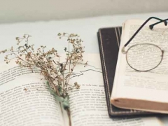 �ɶ���ͨ������ѧ�н��������_�۸�/