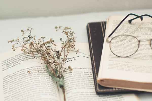 成都新通教育留学中介机构费用_价格