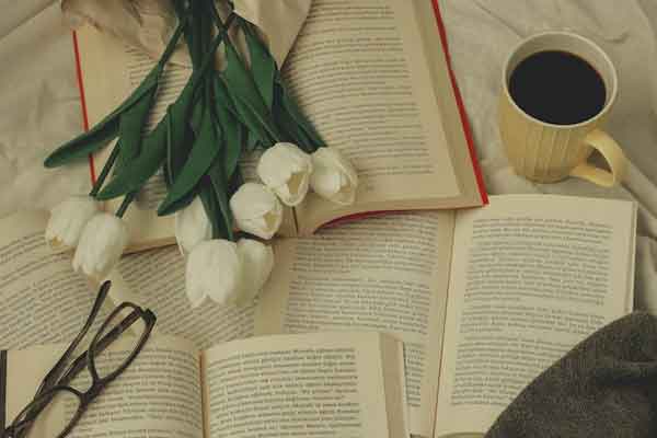 ������ͨ������ѧ�н��������_�۸�