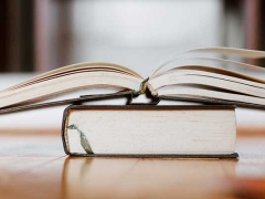 ���ݹ��ʸ��С�˽�����в��/