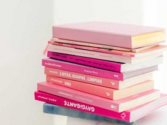 ���չ��ʸ��С�˽�����в��/