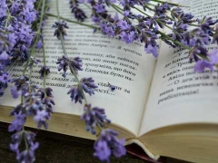 ���������в��������/