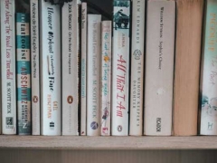 ���ո��в���Ҫ����Ǯ/