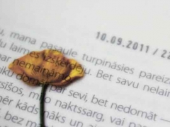 �����޳�����ѧ�н����/